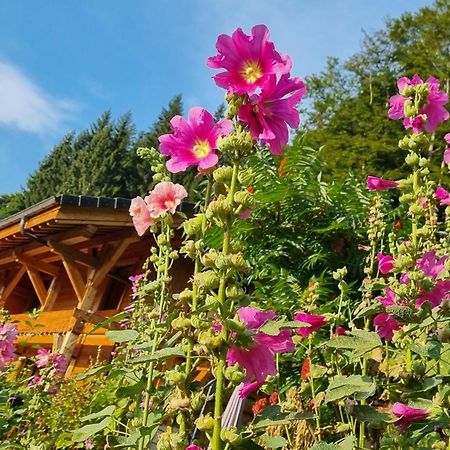 Chalet Arpitan - Les Carroz - Grand Massif Kültér fotó