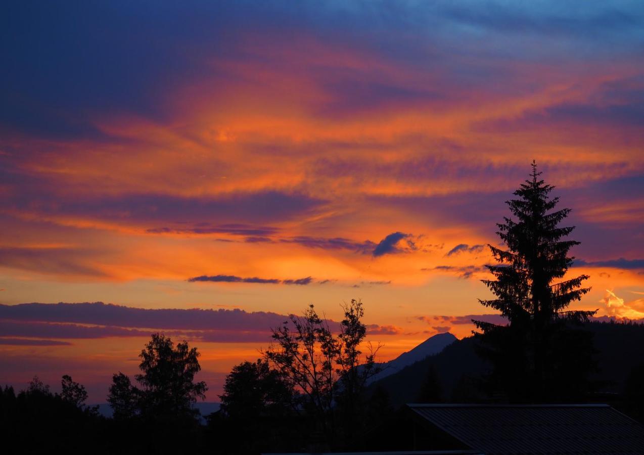 Chalet Arpitan - Les Carroz - Grand Massif Kültér fotó