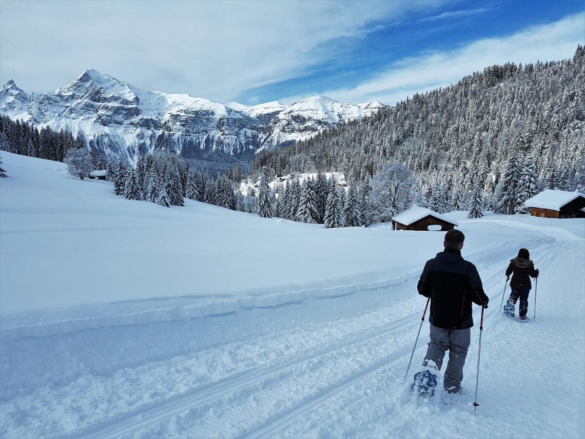 Chalet Arpitan - Les Carroz - Grand Massif Kültér fotó