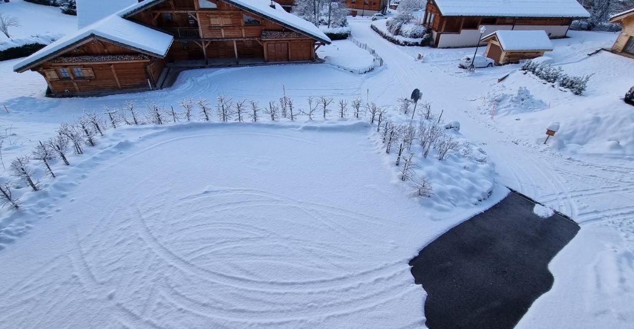 Chalet Arpitan - Les Carroz - Grand Massif Kültér fotó