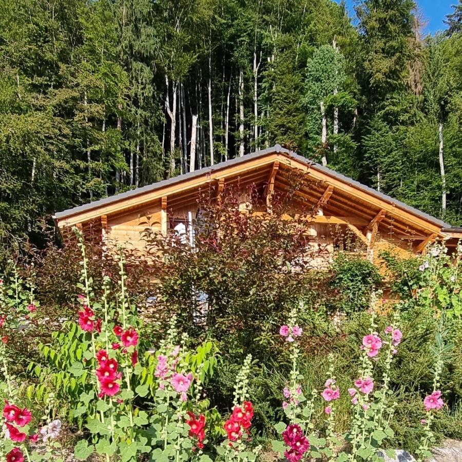 Chalet Arpitan - Les Carroz - Grand Massif Kültér fotó