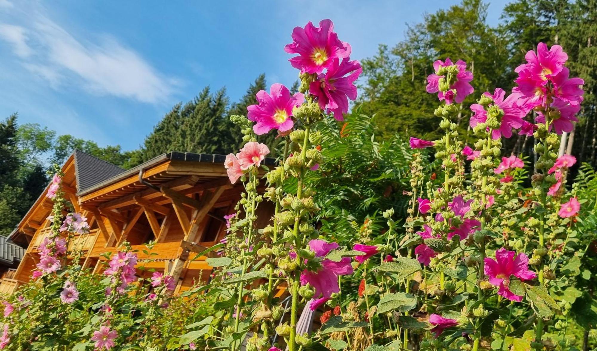 Chalet Arpitan - Les Carroz - Grand Massif Kültér fotó